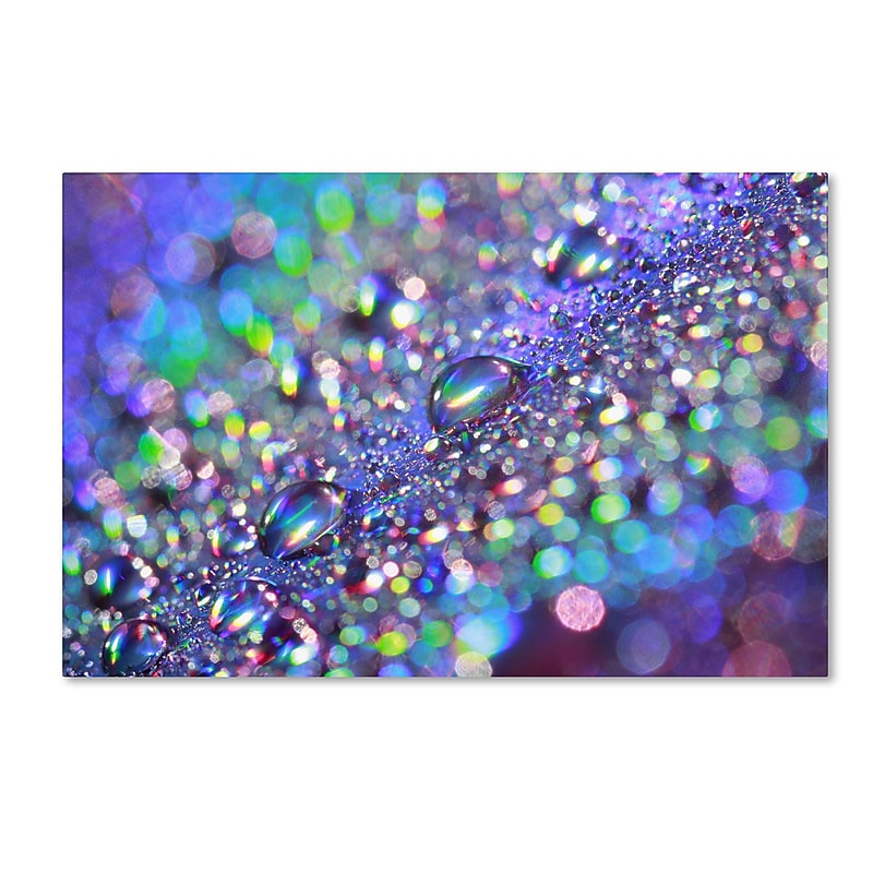 Trademark Fine Art BC0117-C2232GG "Colours of Rainbow" by Beata Czyzowska Young 22" x 32" FRMLS Art image 1
