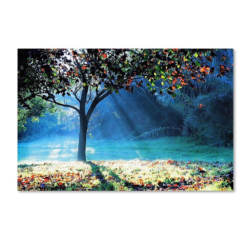 Trademark Fine Art BC0144-C3047GG "Rays of Hope" by Beata Czyzowska Young 30" x 47" Frameless Art image 1
