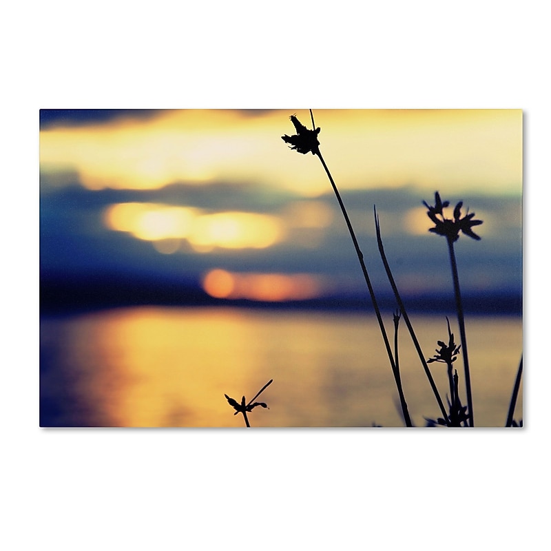 Trademark Fine Art BC0150-C1219GG "Sunset Thoughts" by Beata Czyzowska Young 12" x 19" Frameless Art image 1