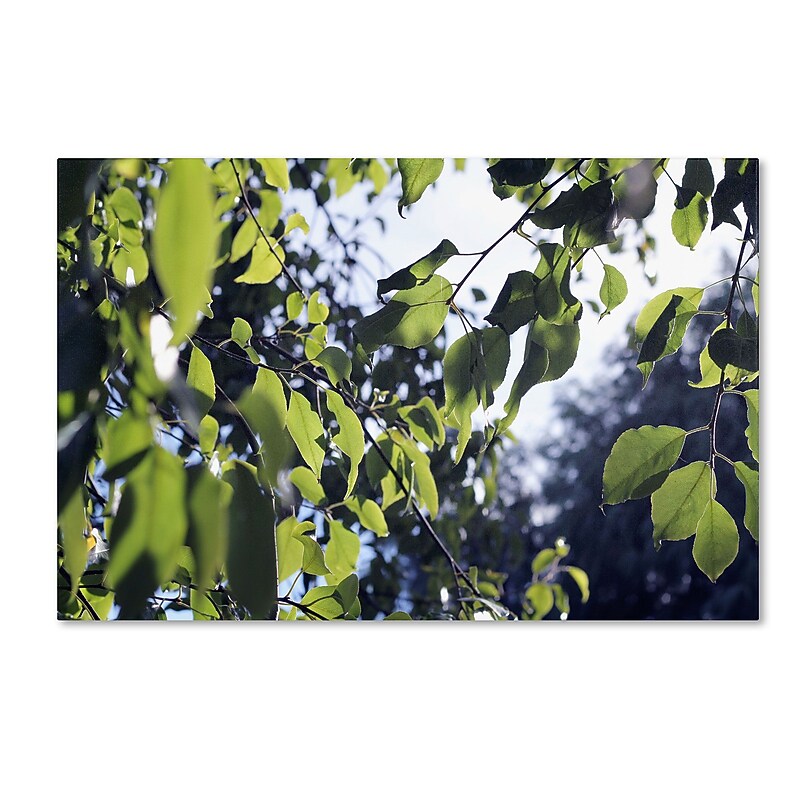 Trademark Fine Art BC0154-C3047GG "Whispers of Summer" by Beata Czyzowska Young 30" x 47" FRMLS Art image 1