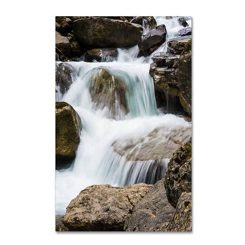 Trademark Fine Art PSL0296-C3047GG "A Very Long Story" by Philippe Sainte-Laudy 30" x 47" FRMLS Art image 1