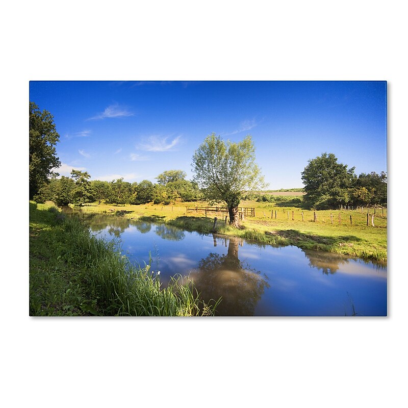 Trademark Fine Art PSL0331-C1219GG "Blue Brook" by Philippe Sainte-Laudy 12" x 19" Frameless Art image 1