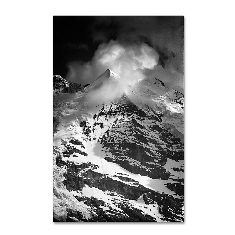 Trademark Fine Art PSL0300-C1624GG "Carry Me Away" by Philippe Sainte-Laudy 16" x 24" Frameless Art image 1