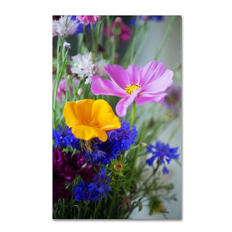 Trademark Fine Art PSL0334-C1624GG "Cosmo Duo" by Philippe Sainte-Laudy 24" x 16" Frameless Art image 1