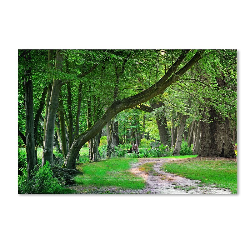 Trademark Fine Art PSL0309-C2232GG "Intimate Landscape" by Philippe Sainte-Laudy 22" x 32" FRMLS Art image 1