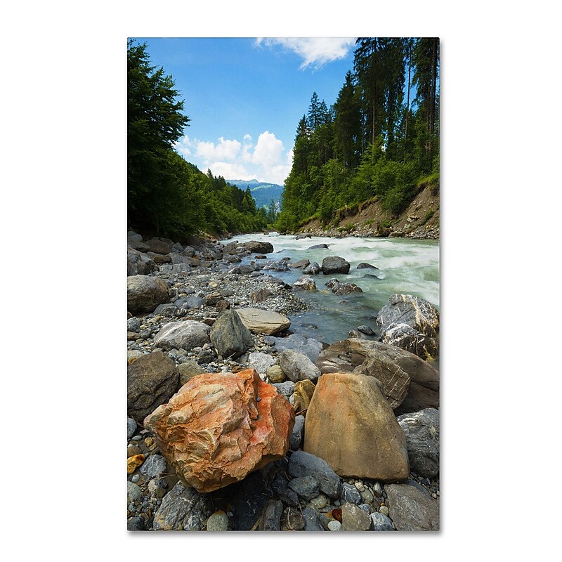 Trademark Fine Art PSL0310-C1219GG "Isolated" by Philippe Sainte-Laudy 12" x 19" Frameless Art image 1