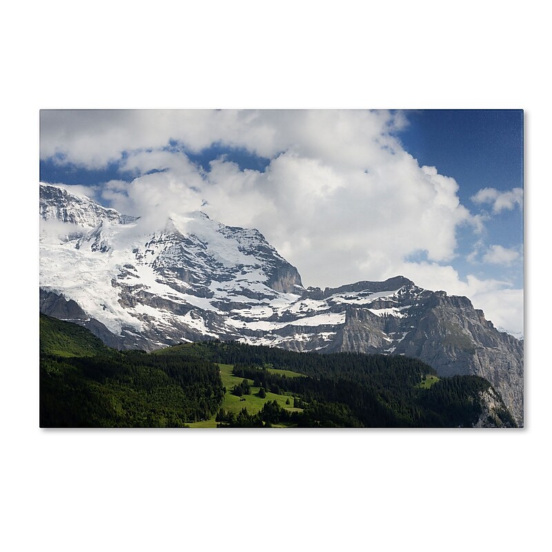 Trademark Fine Art PSL0317-C1219GG Peace in Switzerland by Philippe Sainte-Laudy 12x19 FRMLS Art image 1