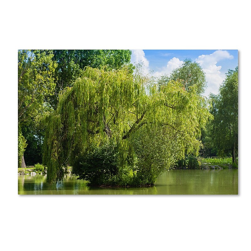 Trademark Fine Art PSL0319-C1624GG Pond and Paintography by Philippe Sainte-Laudy 16x24 FRMLS Art image 1