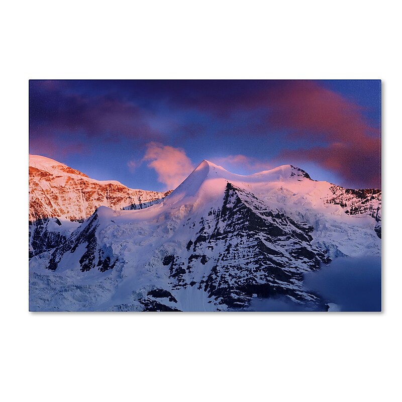 Trademark Fine Art PSL0322-C1624GG "Sunset Celebration" by Philippe Sainte-Laudy 16" x 24" FRMLS Art image 1