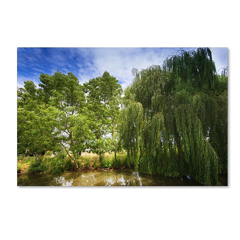 Trademark Fine Art PSL0327-C1219GG "Waterhole" by Philippe Sainte-Laudy 12" x 19" Frameless Art image 1