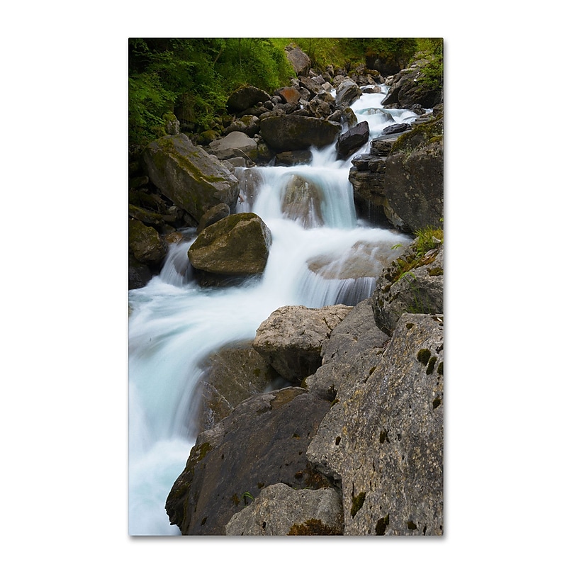 Trademark Fine Art PSL0330-C1219GG "Wet Rocks" by Philippe Sainte-Laudy 19" x 12" Frameless Art image 1