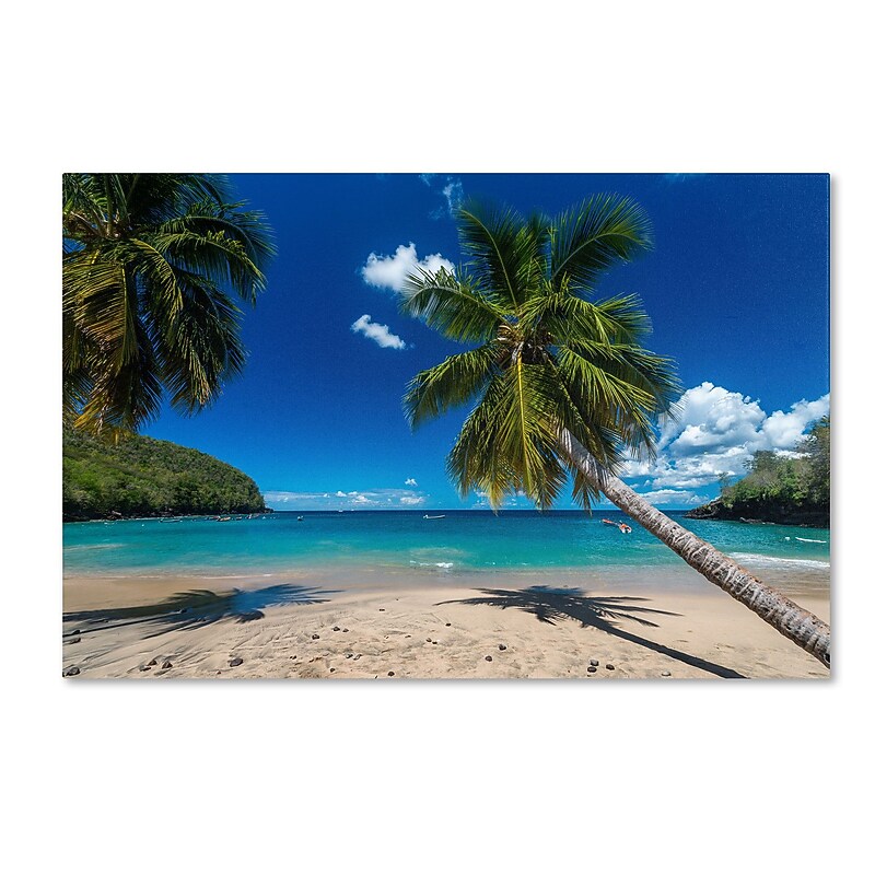 Trademark Fine Art RV0020-C3047GG "Martinique" by Mathieu Rivrin 30" x 47" Frameless Art image 1