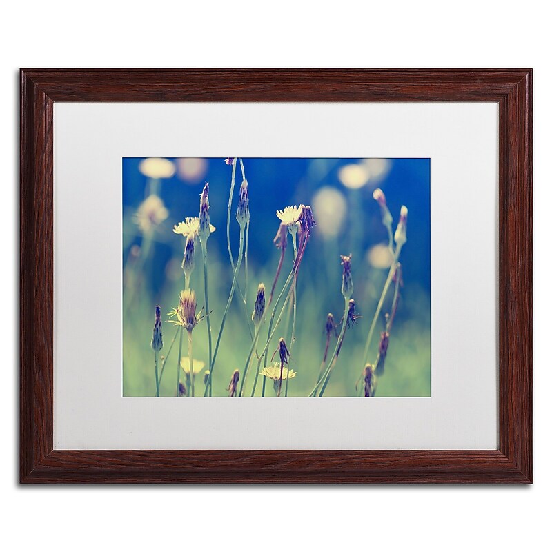 Trademark Fine Art BC0118-W1620MF Days in the Sun by Beata Czyzowska Young 16x20 FRM Art, WHT MTD image 1