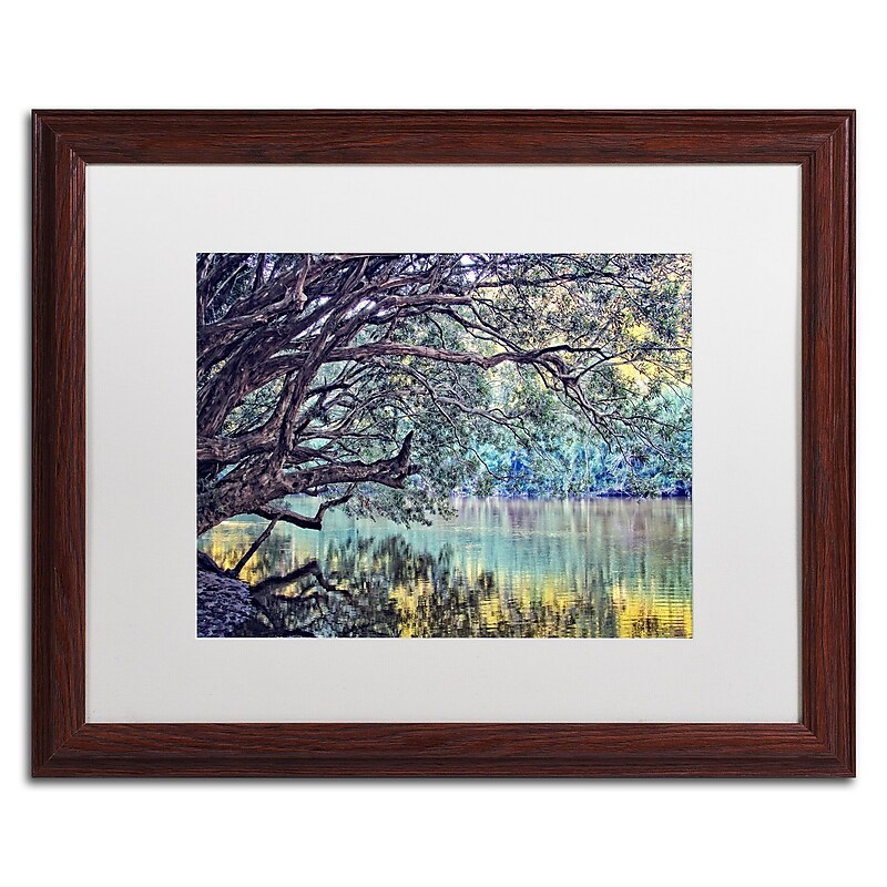 Trademark Fine Art BC0115-W1620MF A Place to Dream by Beata Czyzowska Young 16x20 FRM Art, WHT MTD image 1