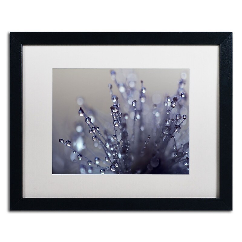 Trademark Fine Art BC0120-B1620MF Evening Jewels by Beata Czyzowska Young 16x20 FRM Art, WHT MTD image 1