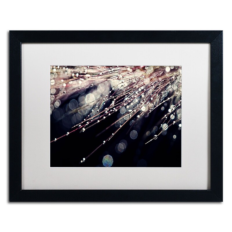 Trademark Fine Art BC0129-B1620MF Little Wonders by Beata Czyzowska Young 16x20 FRM Art, WHT MTD image 1