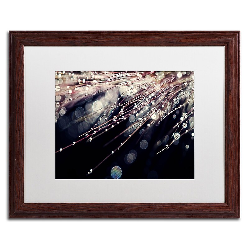 Trademark Fine Art BC0129-W1620MF 'Little Wonders by Beata Czyzowska Young 16x20 FRM Art, WHT MTD image 1