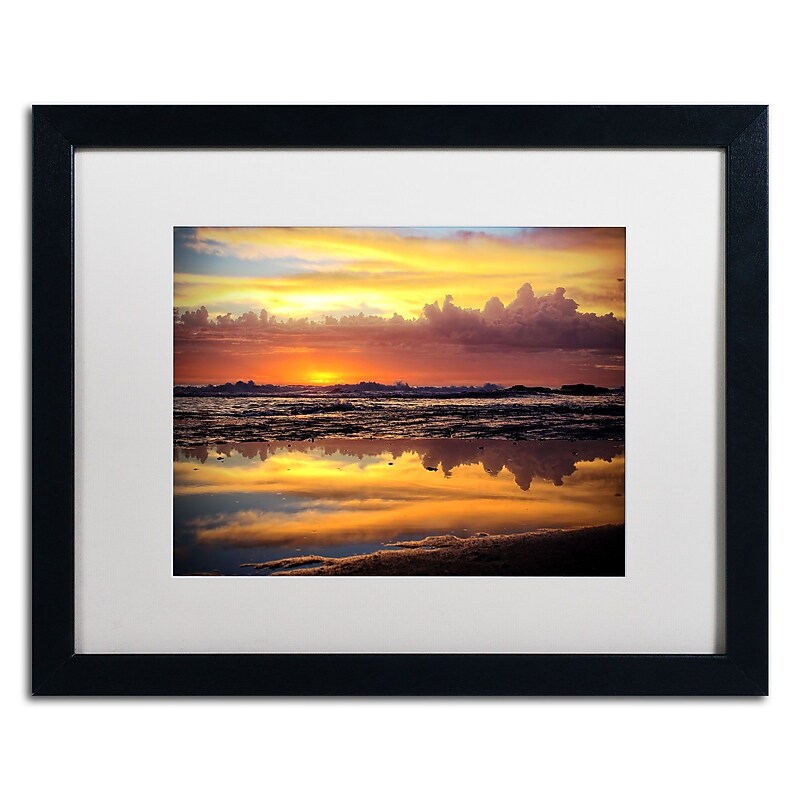 Trademark Fine Art BC0132-B1620MF Morning Secrets by Beata Czyzowska Young 16x20 FRM Art, WHT MTD image 1