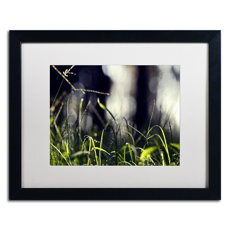 Trademark Fine Art BC0133-B1620MF Morning Secrets by Beata Czyzowska Young 16Hx20W FRM Art, WHT MTD image 1