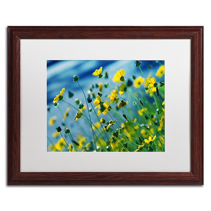 Trademark Fine Art BC0141-W1620MF Power in Flower by Beata Czyzowska Young 16x20 FRM Art, WHT MTD image 1
