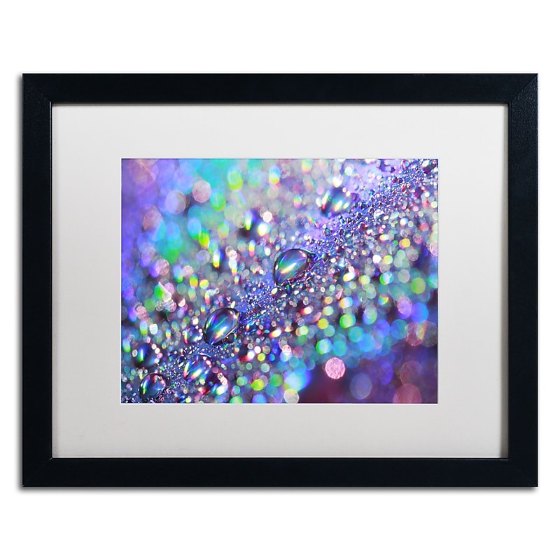 Trademark Fine Art BC0117-B1620MF Colours of Rainbow by Beata Czyzowska Young 16x20 FRM Art, WHT MTD image 1