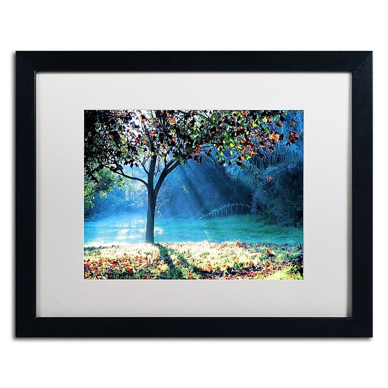 Trademark Fine Art BC0144-B1620MF "Rays of Hope" by Beata Czyzowska Young 16" x 20" FRM Art, WHT MTD image 1