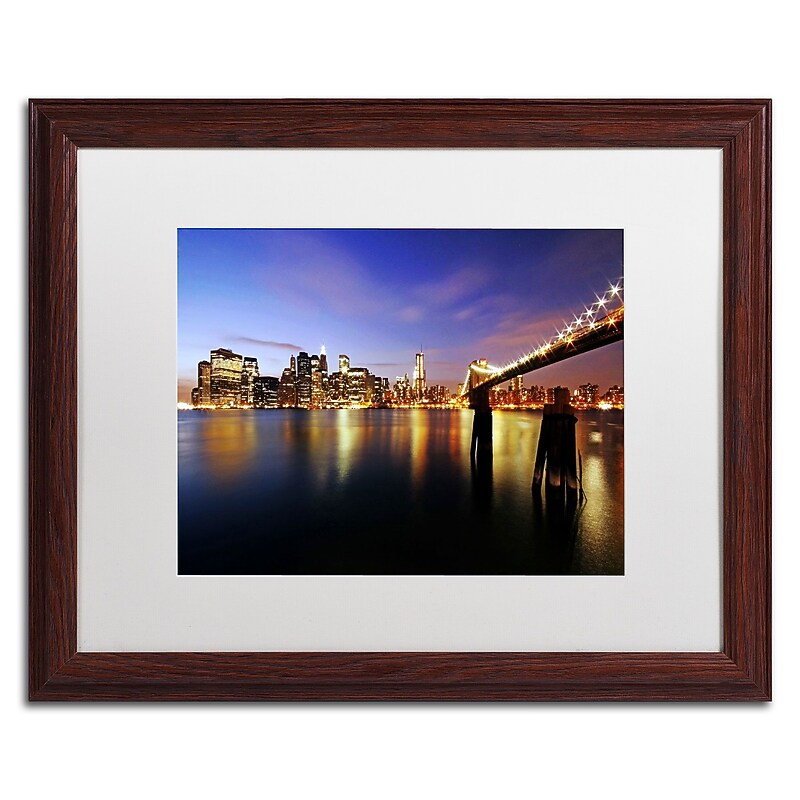 Trademark Fine Art MZ045-W1620MF "That's the Way it is" by CATeyes 16" x 20" Framed Art, WHT MTD image 1