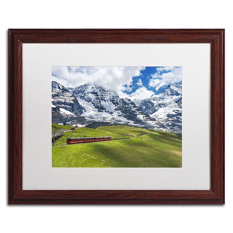 Trademark Fine Art Beautiful Switzerland by Philippe Sainte-Laudy 16x20 FRM Art, WHT MTD (PSL0297-W1620MF) image 1