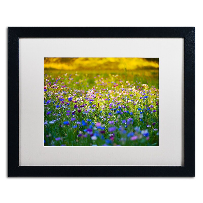 Trademark Fine Art PSL0332-B1620MF "Candy Fields" by Philippe Sainte-Laudy 16" x 20"FRM Art, WHT MTD image 1