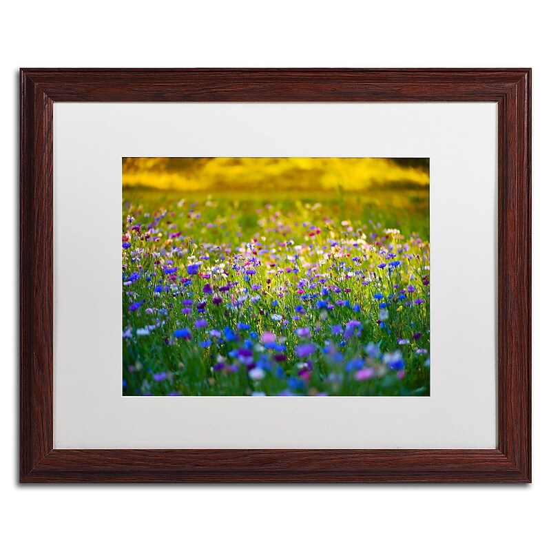 Trademark Fine Art PSL0332-W1620MF Candy Fields by Philippe Sainte-Laudy 16x20 FRM Art, WHT MTD image 1