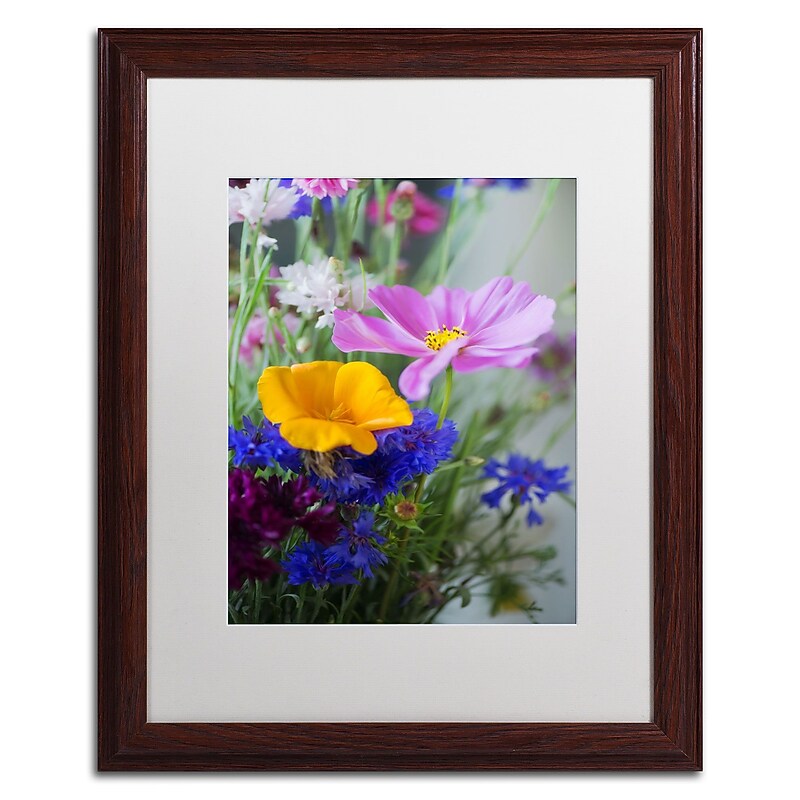 Trademark Fine Art PSL0334-W1620MF "Cosmo Duo" by Philippe Sainte-Laudy 20" x 16" FRM Art, WHT MTD image 1