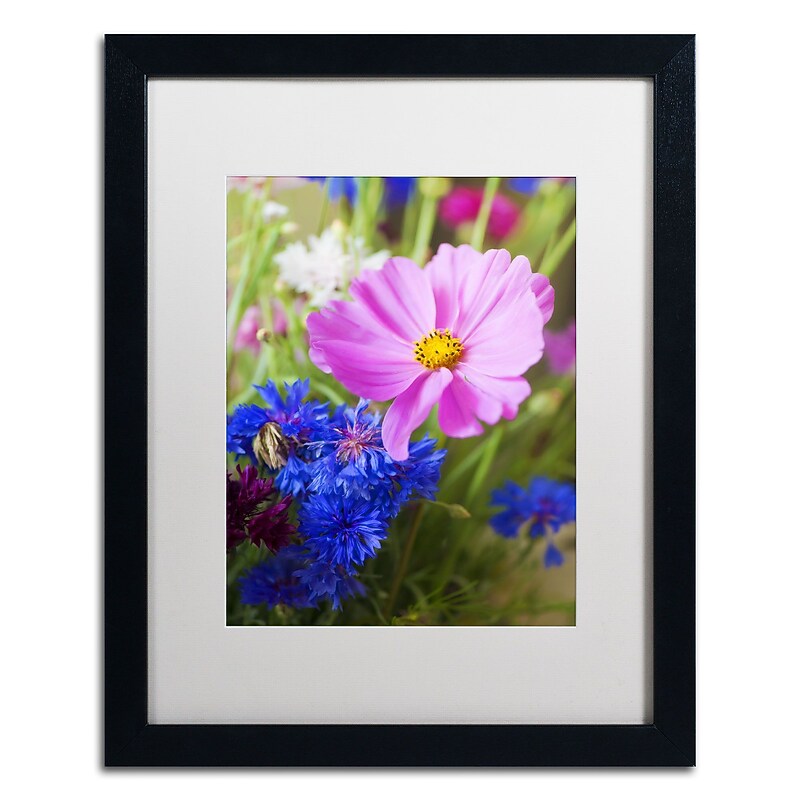 Trademark Fine Art PSL0333-B1620MF "Cosmo" by Philippe Sainte-Laudy 20" x 16" Framed Art, WHT MTD image 1