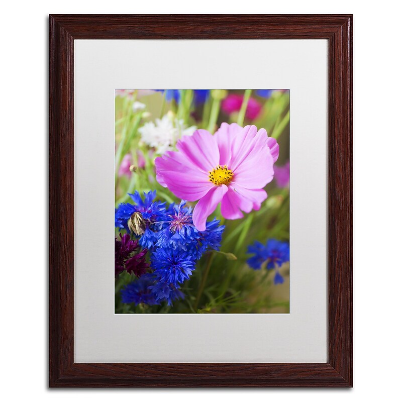 Trademark Fine Art PSL0333-W1620MF "Cosmo" by Philippe Sainte-Laudy 20" x 16" Framed Art, WHT MTD image 1