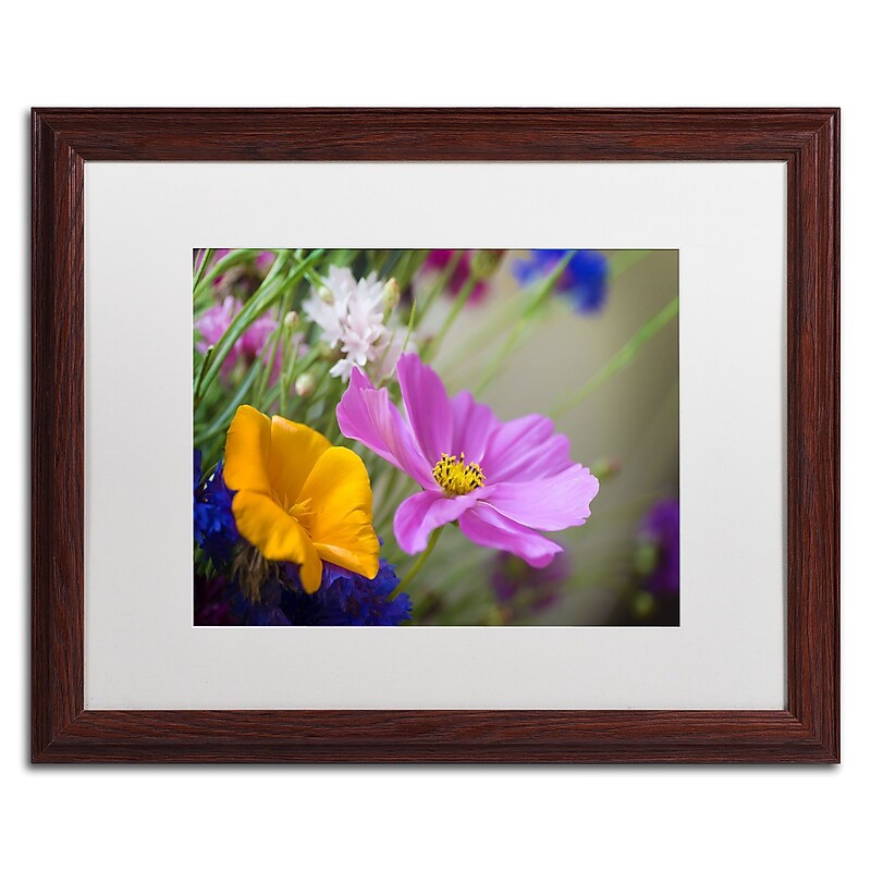 Trademark Fine Art Cosmos of the Fields by Philippe Sainte-Laudy 16x20 FRM Art, WHT MTD (PSL0335-W1620MF) image 1