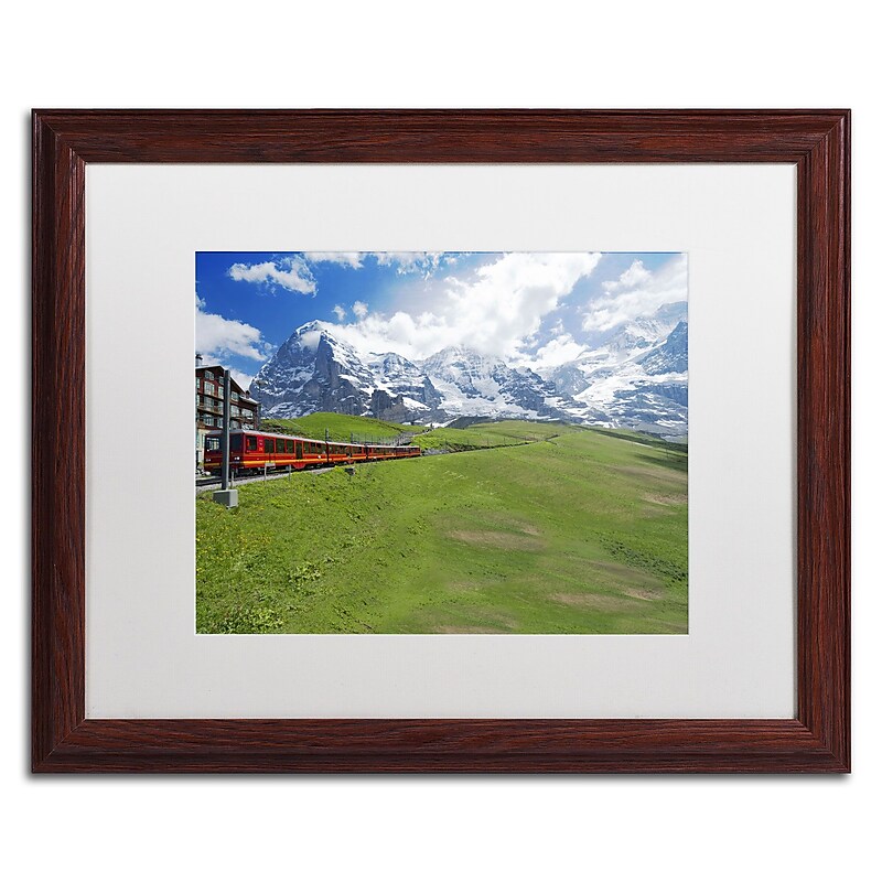 Trademark Fine Art Greatness of Nature by Philippe Sainte-Laudy 16x20 FRM Art, WHT MTD (PSL0307-W1620MF) image 1
