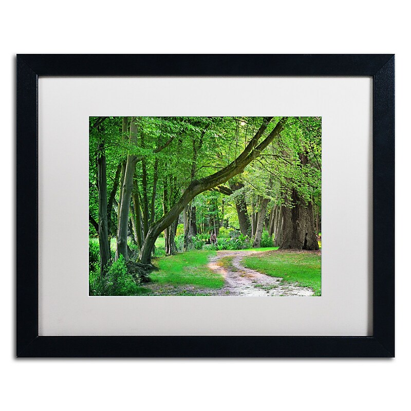 Trademark Fine Art Intimate Landscape by Philippe Sainte-Laudy 16x20 FRM Art, WHT MTD (PSL0309-B1620MF) image 1