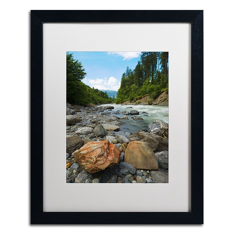 Trademark Fine Art PSL0310-B1620MF "Isolated" by Philippe Sainte-Laudy 16" x 20" Framed Art, WHT MTD image 1