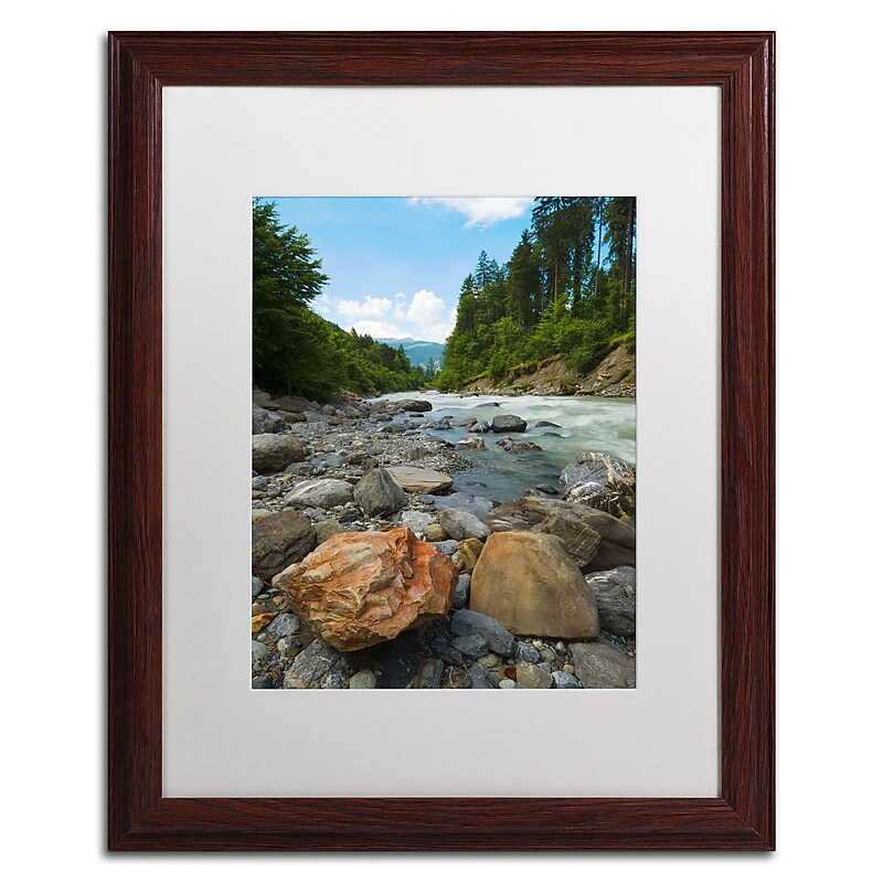 Trademark Fine Art PSL0310-W1620MF "Isolated" by Philippe Sainte-Laudy 20" x 16" Framed Art, WHT MTD image 1