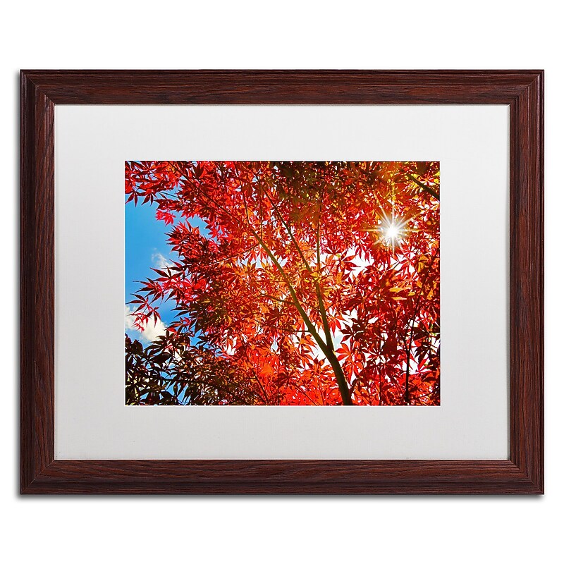 Trademark Fine Art PSL0315-W1620MF "Month Sun" by Philippe Sainte-Laudy 16" x 20" FRM Art, WHT MTD image 1