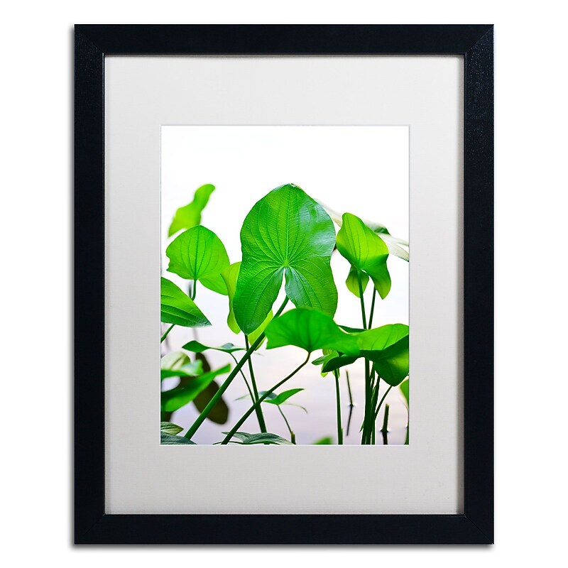 Trademark Fine Art PSL0316-B1620MF Oxygen Generator by Philippe Sainte-Laudy 20x16 FRM Art, WHT MTD image 1