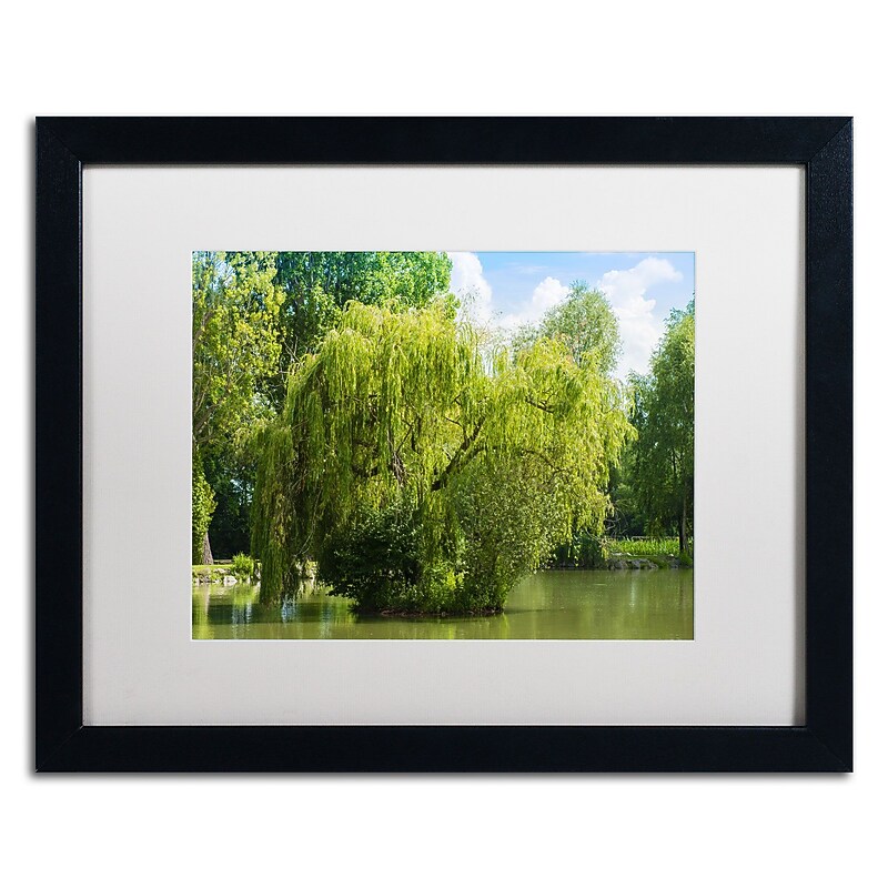 Trademark Fine Art Pond and Paintography by Philippe Sainte-Laudy 16x20 FRM Art, WHT MTD (PSL0319-B1620MF) image 1