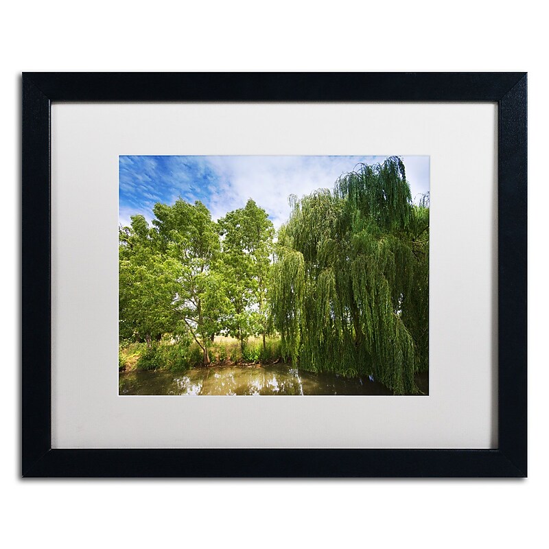 Trademark Fine Art PSL0327-B1620MF "Waterhole" by Philippe Sainte-Laudy 16" x 20" FRM Art, WHT MTD image 1