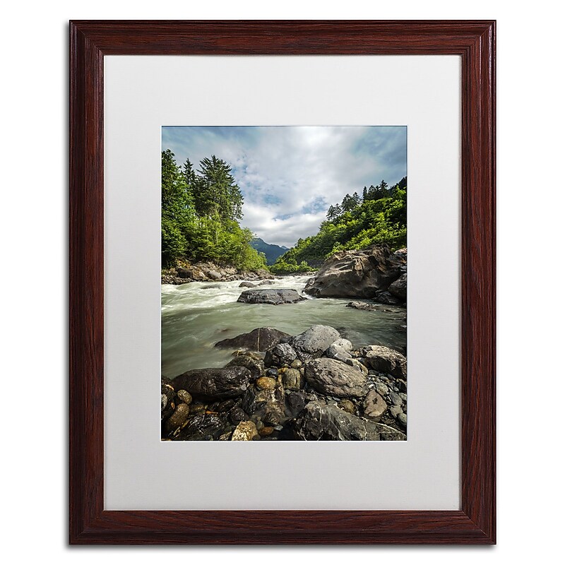 Trademark Fine Art PSL0328-W1620MF "Waterland" by Philippe Sainte-Laudy 20" x 16" FRM Art, WHT MTD image 1