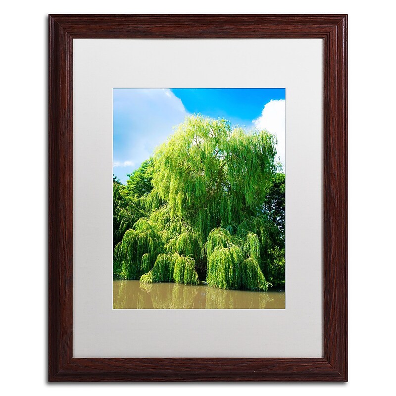 Trademark Fine Art PSL0329-W1620MF Weeping Willow by Philippe Sainte-Laudy 20x16 FRM Art, WHT MTD image 1