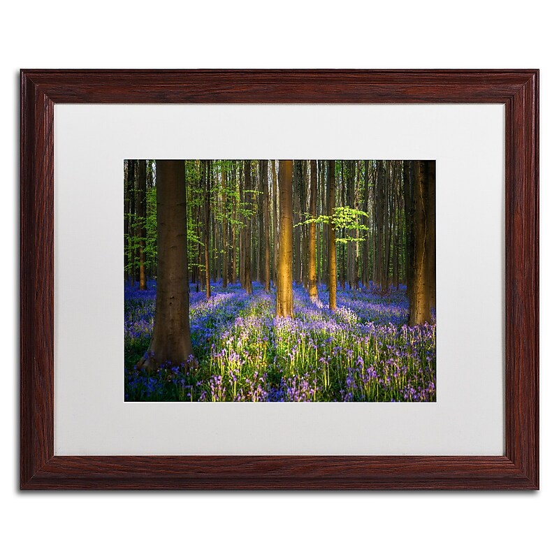 Trademark Fine Art RV0021-W1620MF "Mystical Forest" by Mathieu Rivrin 16" x 20" Framed Art, WHT MTD image 1