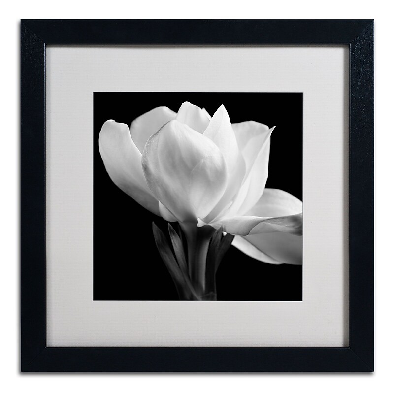 Trademark Fine Art ALI0287-B1616MF "Gardenia" by Michael Harrison 16" x 16" Framed Art, White Matted image 1