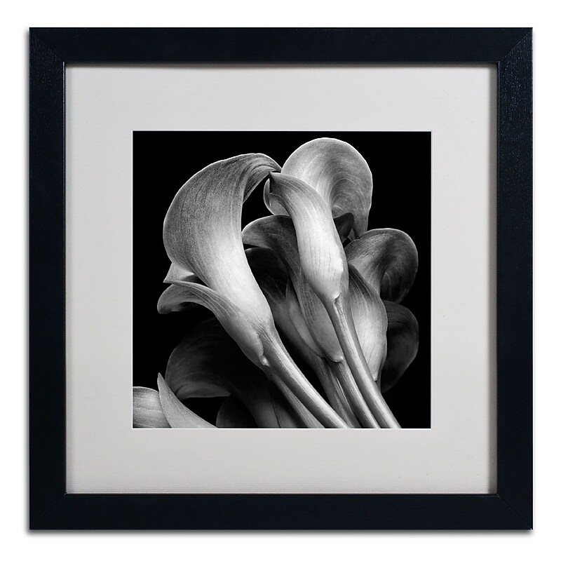 Trademark Fine Art ALI0288-B1616MF "Lillies" by Michael Harrison 16" x 16" Framed Art, White Matted image 1
