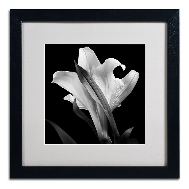 Trademark Fine Art ALI0289-B1616MF "Lily" by Michael Harrison 16" x 16" Framed Art, White Matted image 1