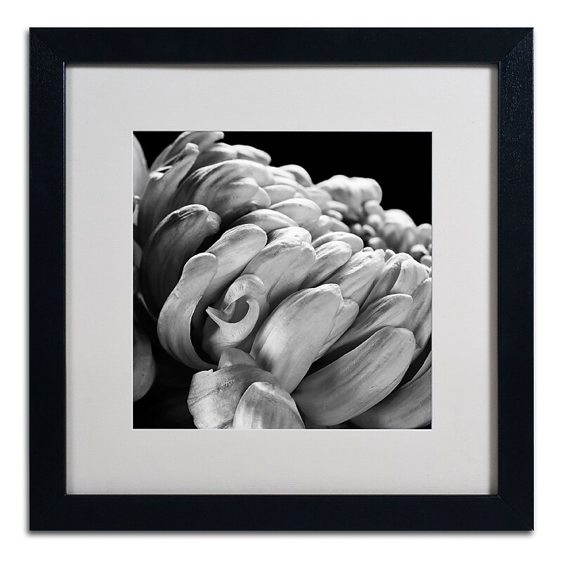 Trademark Fine Art ALI0291-B1616MF "Mum I" by Michael Harrison 16" x 16" Framed Art, White Matted image 1