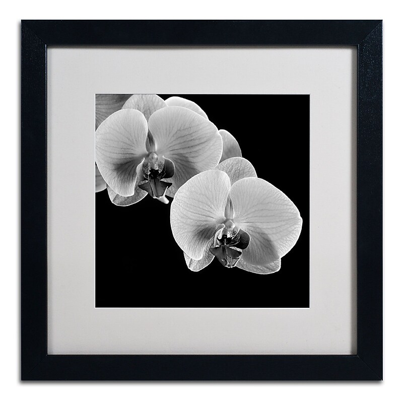 Trademark Fine Art ALI0293-B1616MF "Orchids" by Michael Harrison 16" x 16" Framed Art, White Matted image 1